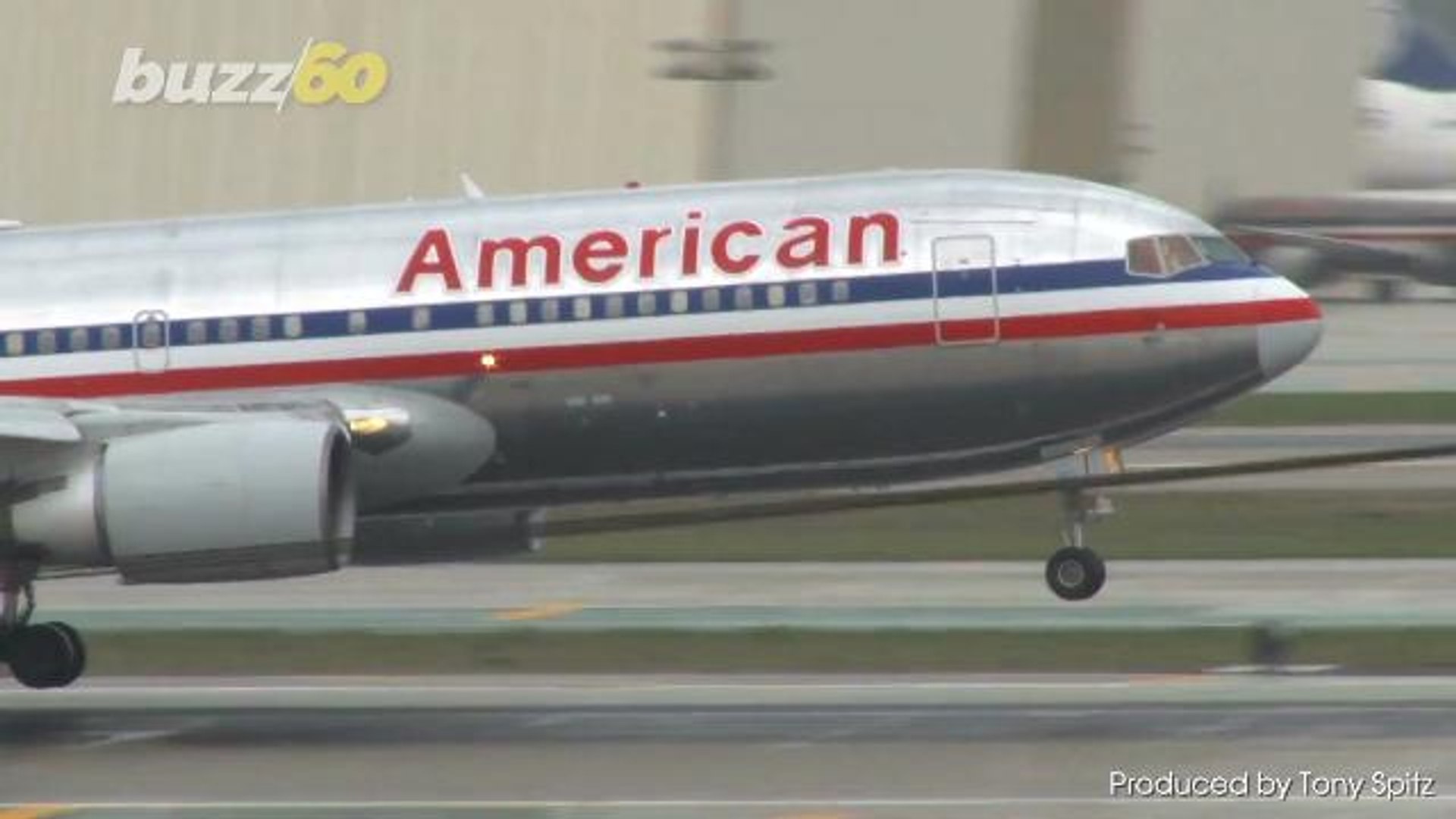 ⁣'Emotional Support' Hedgehogs, Ferrets and Goats Are Being Banned from American Airlines F