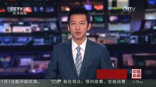 [中国新闻]沪深股指全年分别上涨9%和14%