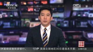 [中国新闻]马来西亚外长宣布东盟共同体正式成立
