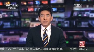 [中国新闻]土耳其伊斯坦布尔因暴风雪取消上百航班