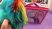 Giant My Little Pony Easter Basket from the Easter Dragon! by Bins Toy Bin