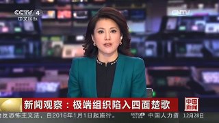 [中国新闻]新闻观察：极端组织陷入四面楚歌
