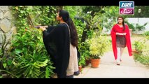 Mein Mehru Hoon Ep 134 & 135 - on ARY Zindagi in High Quality 15th May 2018