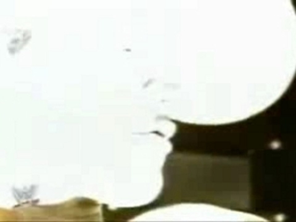 Randy Orton - New Numa