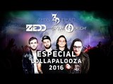 ZEDD, ZEDS DEAD & GROOVE DELIGHT - ESPECIAL LOLLAPALOOZA 2016