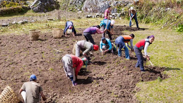 Free Solar Water Pumping System! MaNi StaTus