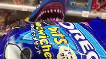 PET SHARK ATTACK chase at a Park!サメのおもちゃと公園で追いかけっこ！お菓子を買って食べる【こうちゃん】
