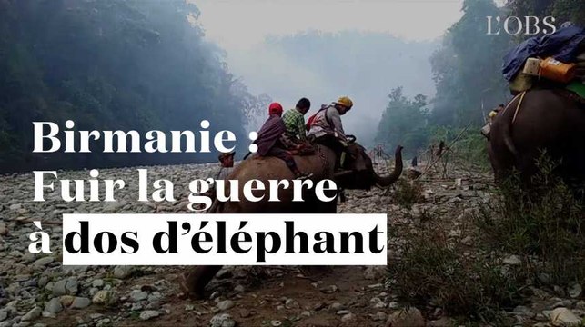 En Birmanie, les civils fuient les combats à dos d'éléphant
