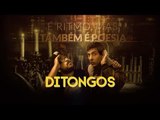 5- Ditongos (Áudio Oficial) - Fabio Brazza (Prod. Mortão VMG)