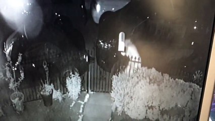 Clefs oubliées en boite elle escalade son portillon.. et tombe dans les fleurs !