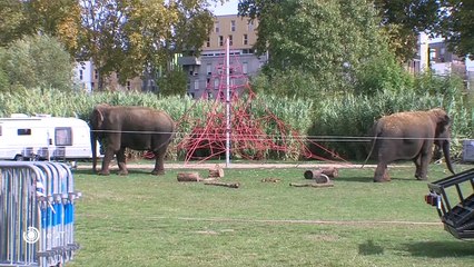 SOCIETE/ Le festival du cirque désormais sans animaux sauvages - 15/05/2018
