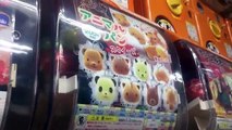 GACHA HUNT in Akihabara! [Toy Capsule Lab | Gashapon Opening]