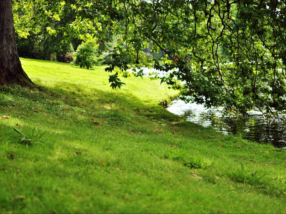 作業用・リラックス用ＢＧＭ　疲れた時に聴くと癒されるクラシック音楽　癒しのショパン　エチュード編 part 2/3