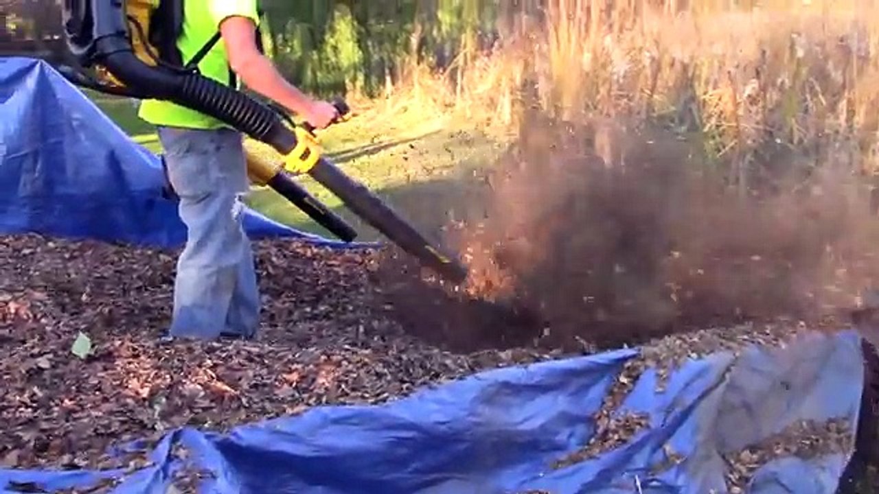 Dewalt Outdoor Power tools Beast or Busted Gas VS Electric / Battery