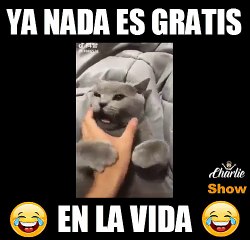 Ya nada en la vida es gratis jajaja