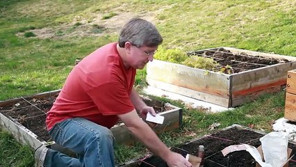 How To Grow Garlic At Home