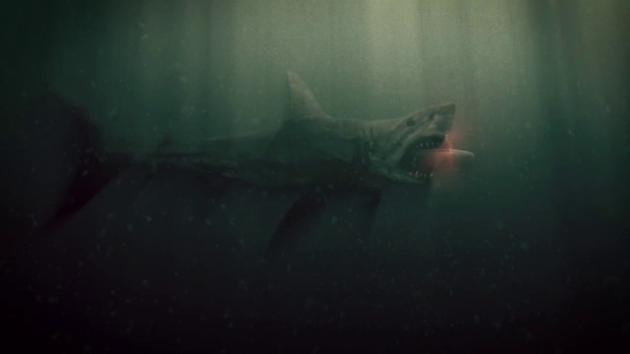 10 INTERESTING FACTS ABOUT WORLD BIGGEST SHARK MEGALODON