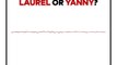 Do You Hear Laurel or Yanny?