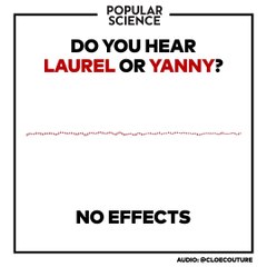 Do You Hear Laurel or Yanny?