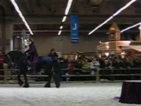 Spectacle frison/danse au Salon du Cheval (4 décembre 2007)