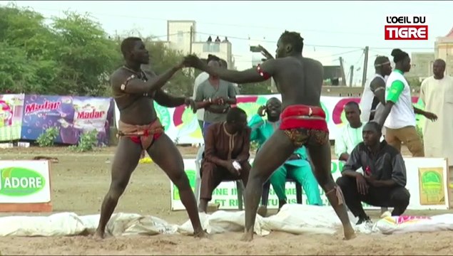 jell abdou lo limousine 2RUBRIQUE JELL BI du 15 Mai 2018 avec LIMOUSINE 2 & ABDOU LO dans L' Oeil Du Tigre