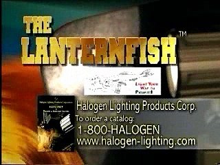 The LanternFish™ | Series 5500 | Fluorescent Work Light