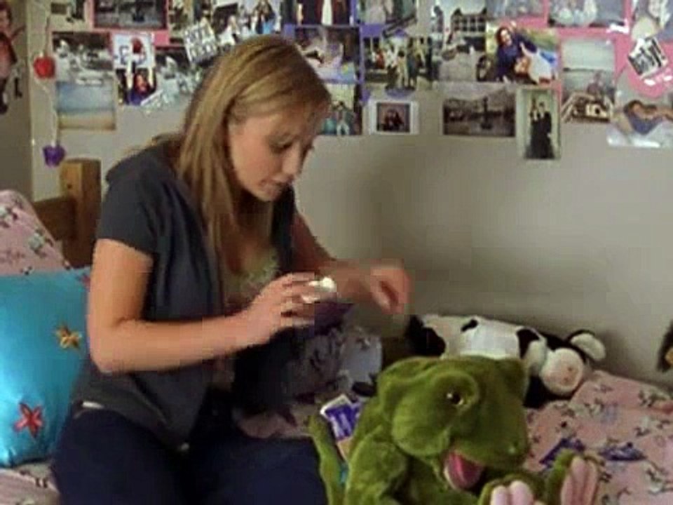 Undeclared S01E09