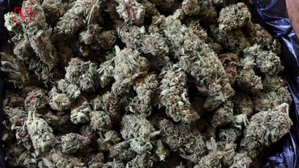 Study: More Parents Are Smoking Weed