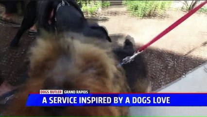 Bus Service for Pets Takes Them to and from Doggie Daycare