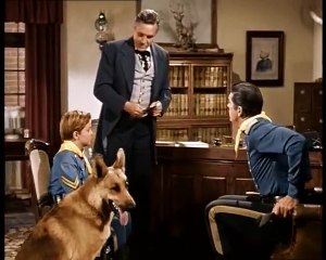 Rintintin - Adieu Fort Apache