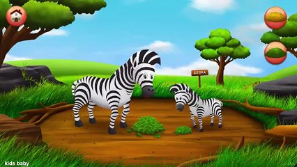 Learn Name And Sound Wild Animals Eat Food | Animals for Children
