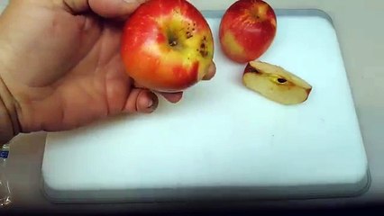 EASY WAY How to Grow an Apple Tree from Seed