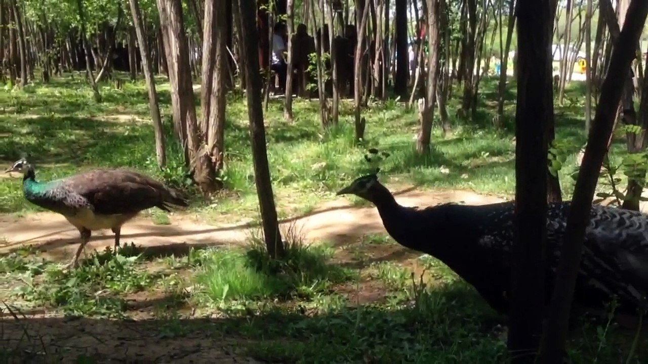Familly Trip In Kosovo