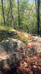 Brian Ghilliotti: Niantic, Connecticut: Examining Boulder Alignments Behind Circular Boulder Cluster