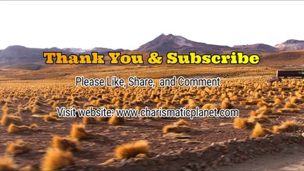 Gordon Greenidge Magnificent 80 vs Australia Ist Test Match at Brisbane in November 1988