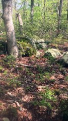 BRIAN GHILLIOTTI: CONTINUING DEEPER INTO THE WOODS BEYOND THE OVERHANG: WHAT IS THIS?