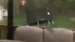 High Winds Flip Trampoline in New Windsor During Tornado-Warned Storm