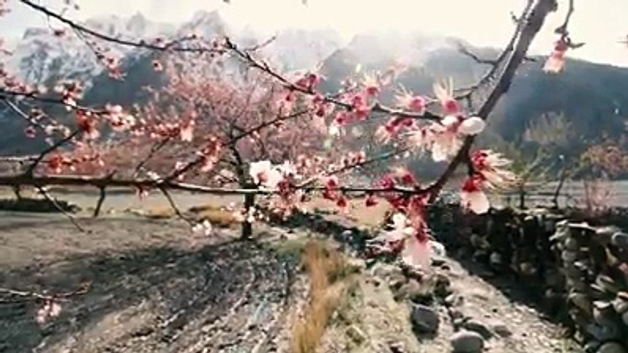HUNZA VALLEY, Deosai PAKISTAN Stunning, Scaring and Beautiful bridge.