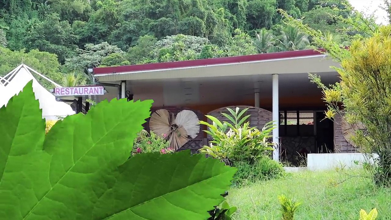 SEJOUR DANS LE NORD DE LA MARTINIQUE (Ajoupa Bouillon)