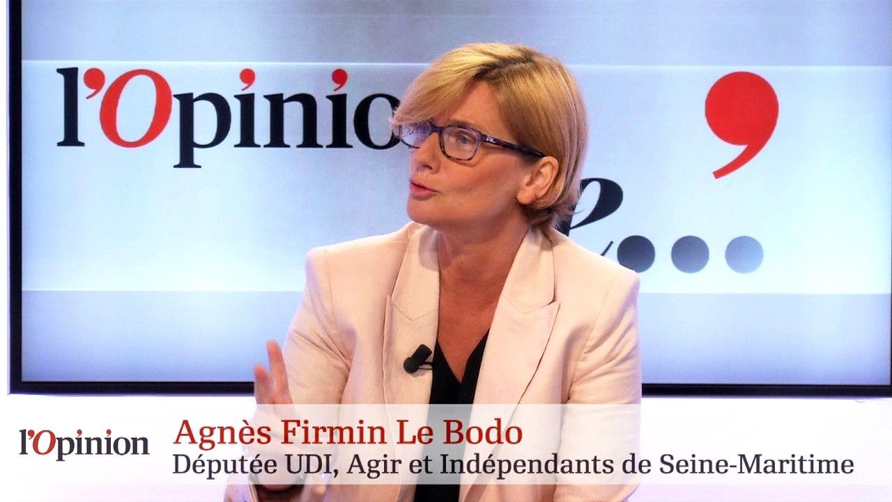 Agnès Firmin Le Bodo: «Agir Les Constructifs est un parti de droite»