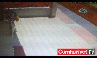 Ölmemek için kadın ve çocukları kendisine siper etti