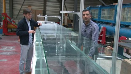 Dynamics of floating objects on bridge piles