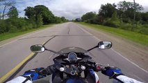 Motorcycle Hits Deer! CRASH