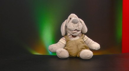 Wednesday's Birthdays