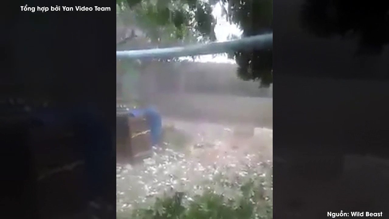 Clip mưa đá dữ dội hút hơn 10 triệu lượt xem khiến CĐM rùng mình