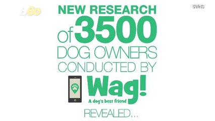 If Your Significant Other's Dog Doesn't Like You, You're Toast