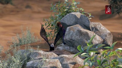 كرتون ابن بطوطة - رمضان 2018