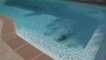 B.G Piscines Expertises entretien de piscines - Puget sur Argens