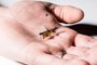 Así vuela el primer insecto robótico sin cables ni baterías