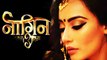 Naagin 3: Surbhi Jyoti will not play Naagin in the show; Here's why | FilmiBeat